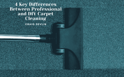 4 Key Differences Between Professional and DIY Carpet Cleaning