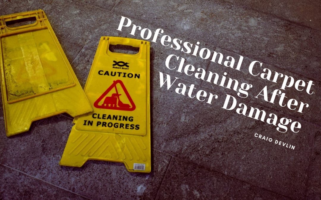 Professional Carpet Cleaning After Water Damage